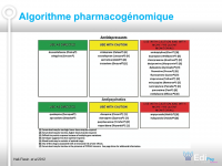Diapositive32