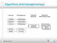 Diapositive33